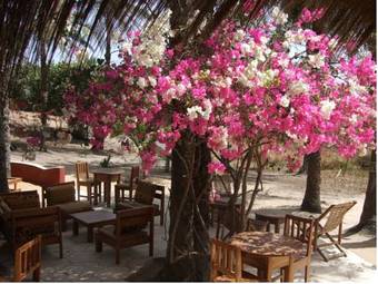 Hotel Esperanto Lodge