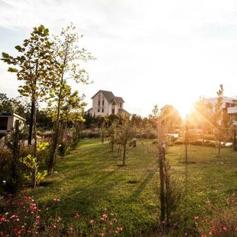 Gashalti Health Hotel Naftalan