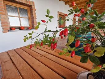 Hostal Comenius Moravus Vina?sk� Dv?r