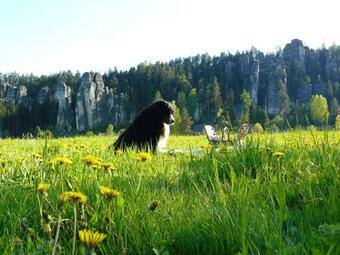 Apartm�ny Adr?pach U Koz�r?