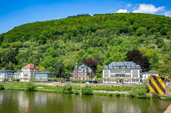 Bs Neckar Apartment Heidelberg