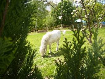Apartamentos Pension U Josefa