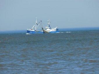 Apartamentos Ekenhoff