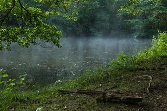 Hostal Landgasthof Hieren M�hle