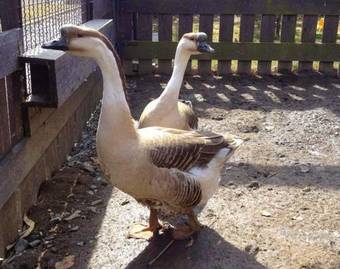 Hotel Zamek Berchtold