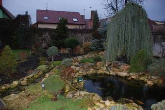 Hostal Apartm�n Koi