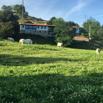 Apartamentos Picabel