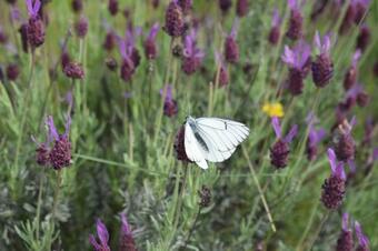 Hotel Rural San Giles