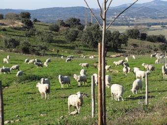 Agroturismo Casa Da Urra