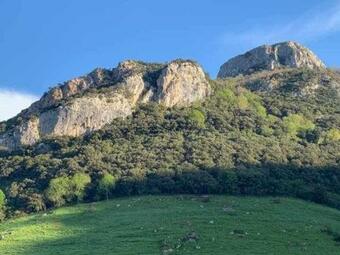 P�o De Cabrales Apartamento Los Abedules