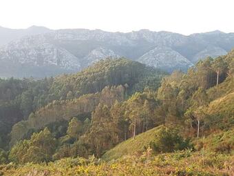 La Vierta Casa Rural Agroturismo
