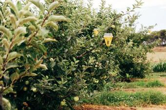 Hotel Alt Empord� H R