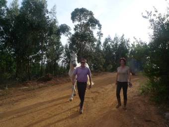 Bed & Breakfast Teima, Alentejo Sw