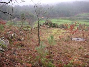 Quinta Porto Dos Lobos