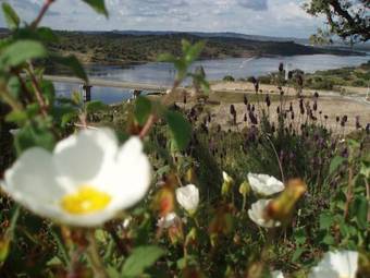 Bed & Breakfast Casa De Pedrogao