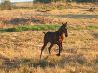 Hostal Monte Da Lagoa