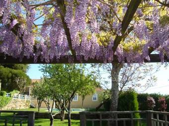 Hotel Rural Quinta Da Vista Alegre