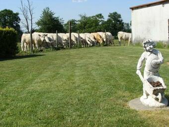 G�te Aizenay, 3 Pi�ces, 5 Personnes - Fr-1-426-199