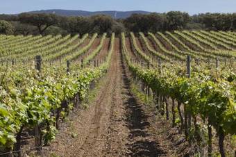 Herdade Da Maroteira