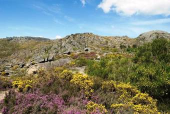 Moinho Do Poco Verde