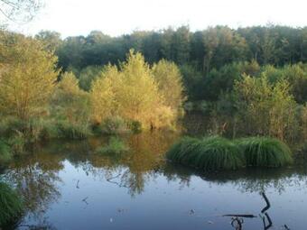 G�te Barrais-bussolles, 5 Pi�ces, 7 Personnes - Fr-1-489-122