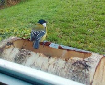 Chalet With 3 Bedrooms In Le Pont de Claix With Wonderful Lake View Private Pool Enclosed Garden