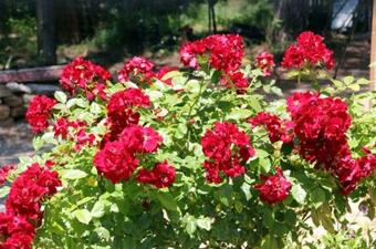 House With One Bedroom In Cebazan With Shared Pool Furnished Terrace And Wifi