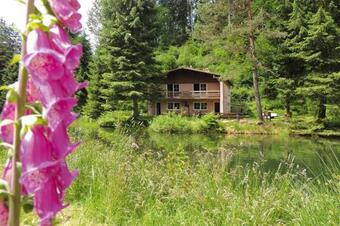 Apartamento Holiday Flats Forellenhof Dabo - Els05027-cya