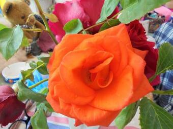 House With 3 Bedrooms In Dampierre En Burly With Furnished Garden And Wifi