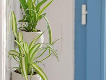 G�te Sap-en-auge, 4 Pi�ces, 5 Personnes - Fr-1-497-146