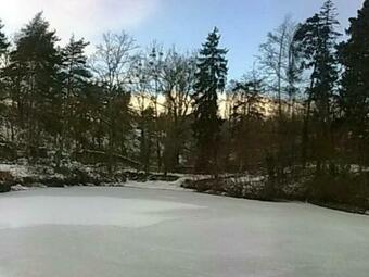 G�te Montbrison, 2 Pi�ces, 2 Personnes - Fr-1-496-158