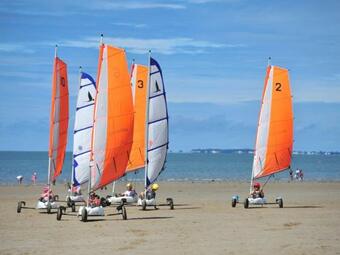 Apartamento Appartement Notre-dame-de-monts, 3 Pi�ces, 4 Personnes - Fr-1-540-9