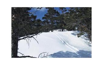 Holiday Home D�lemo Hillestadheia III