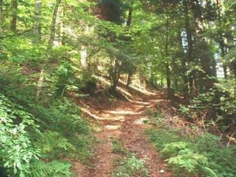 G�te Rupt-sur-moselle, 4 Pi�ces, 5 Personnes - Fr-1-589-221