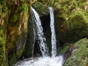 G�te Saint-alban-les-eaux, 3 Pi�ces, 4 Personnes - Fr-1-496-75