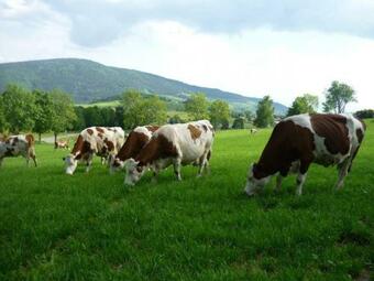 G�te Sauvain, 4 Pi�ces, 6 Personnes - Fr-1-496-94