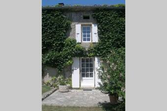 Tournesol Au Mas D'escampette