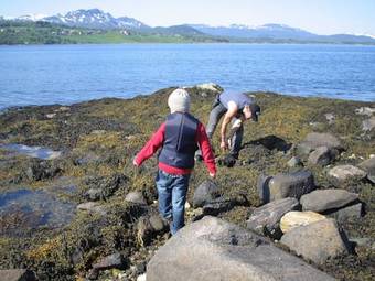 Tjeldsundbrua Maritim