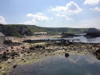 Northern Star Cottage