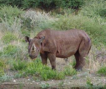 Erongo Wilderness Lodge