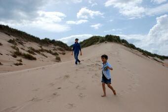 Harvest Moon Treehouse
