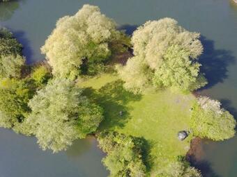 Lodge Woodlakes Park