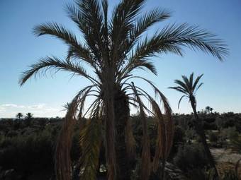 Bed & Breakfast Chez Laila