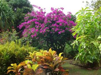 House With 6 Bedrooms In Vieux Habitants With Furnished Garden And Wifi 3 Km From The Beach