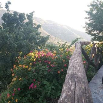 Hotel Tsigoura Thassos