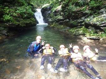 Hotel Holiday House Green Garden
