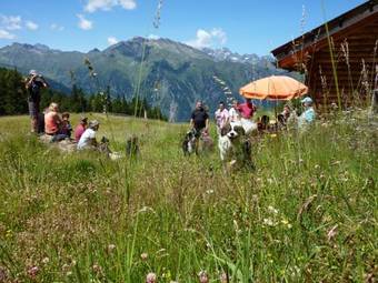 Aparthotel Appartement Riederhof