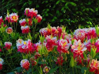 Agroturismo Agriturismo La Possioncella