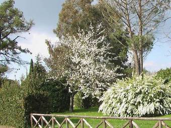 Bed & Breakfast Villa Iris