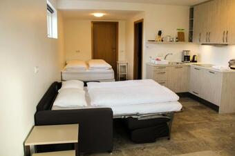 Skipalaekur Farm Apartments